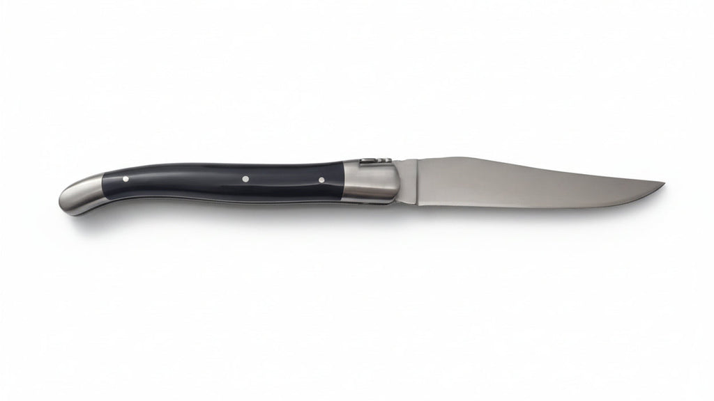 Laguiole corne noire